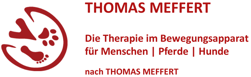 Thomas Meffert
